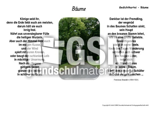 Bäume-Stoecklin.pdf